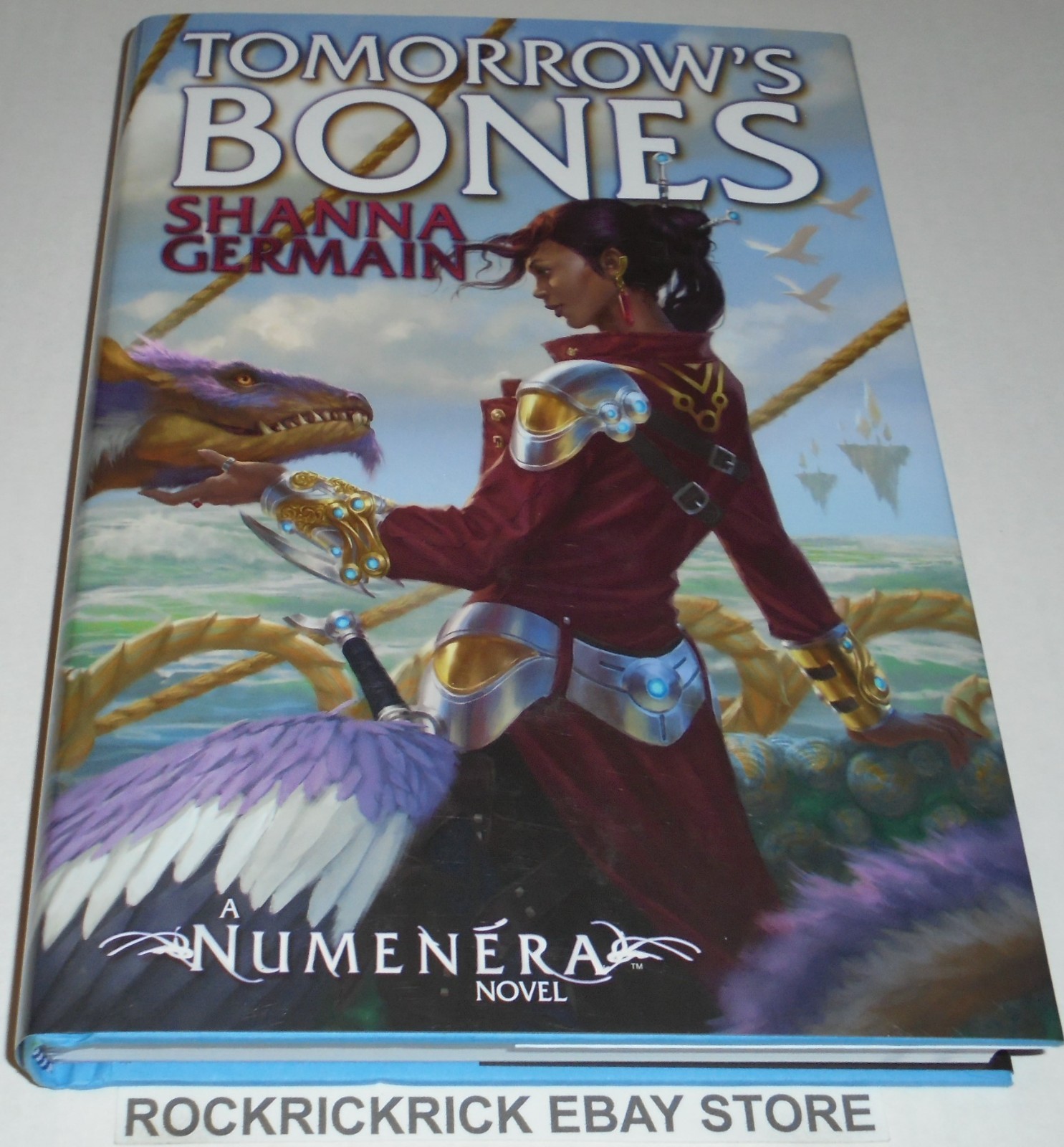 TOMORROW’S BONES BOOK BY SHANNA GERMAN 2019 17CM X 25CM