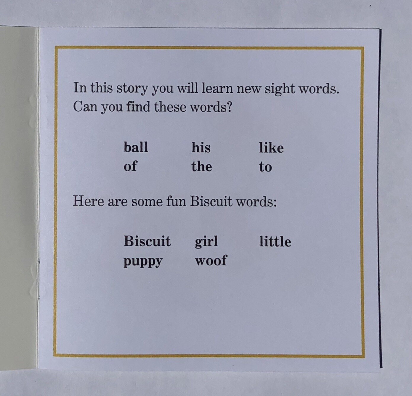 Biscuit Phonics Children’s Books Beginning Readers Kindergarten 1st Grade Lot 24