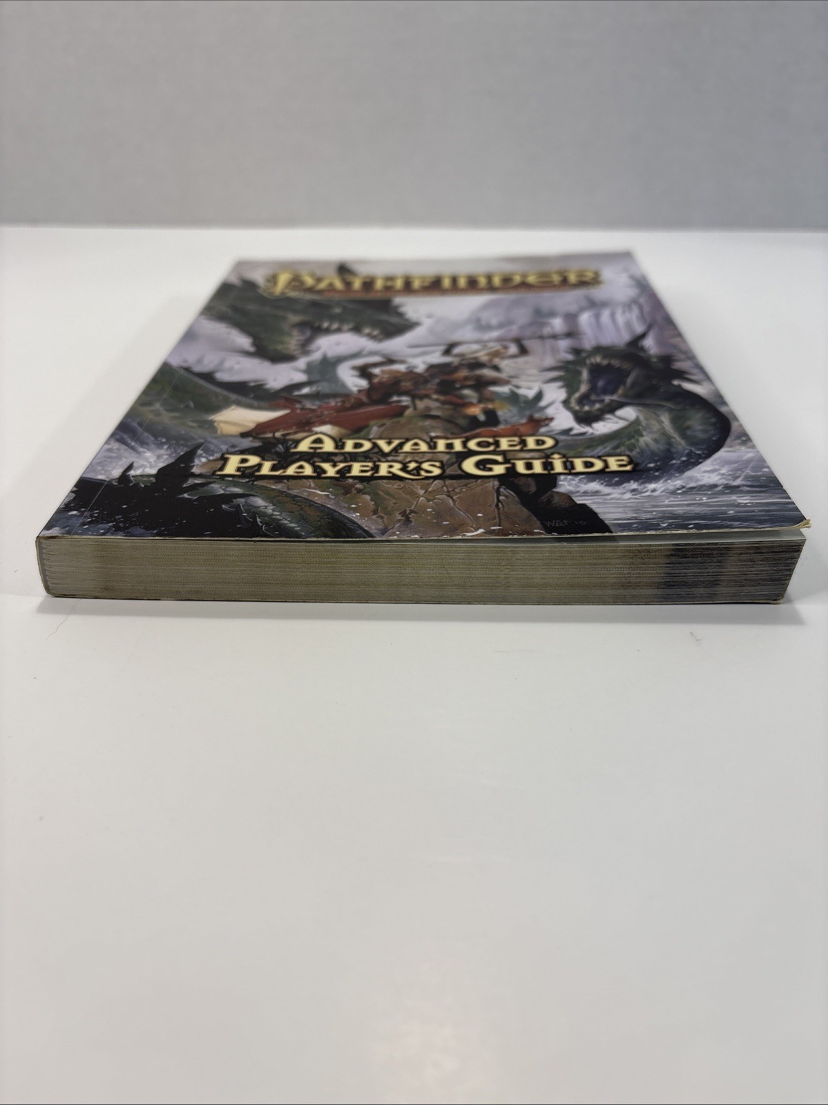 Pathfinder Roleplaying Game : Advanced Player’s Guide, Paizo Staff 2017, Bulmahn