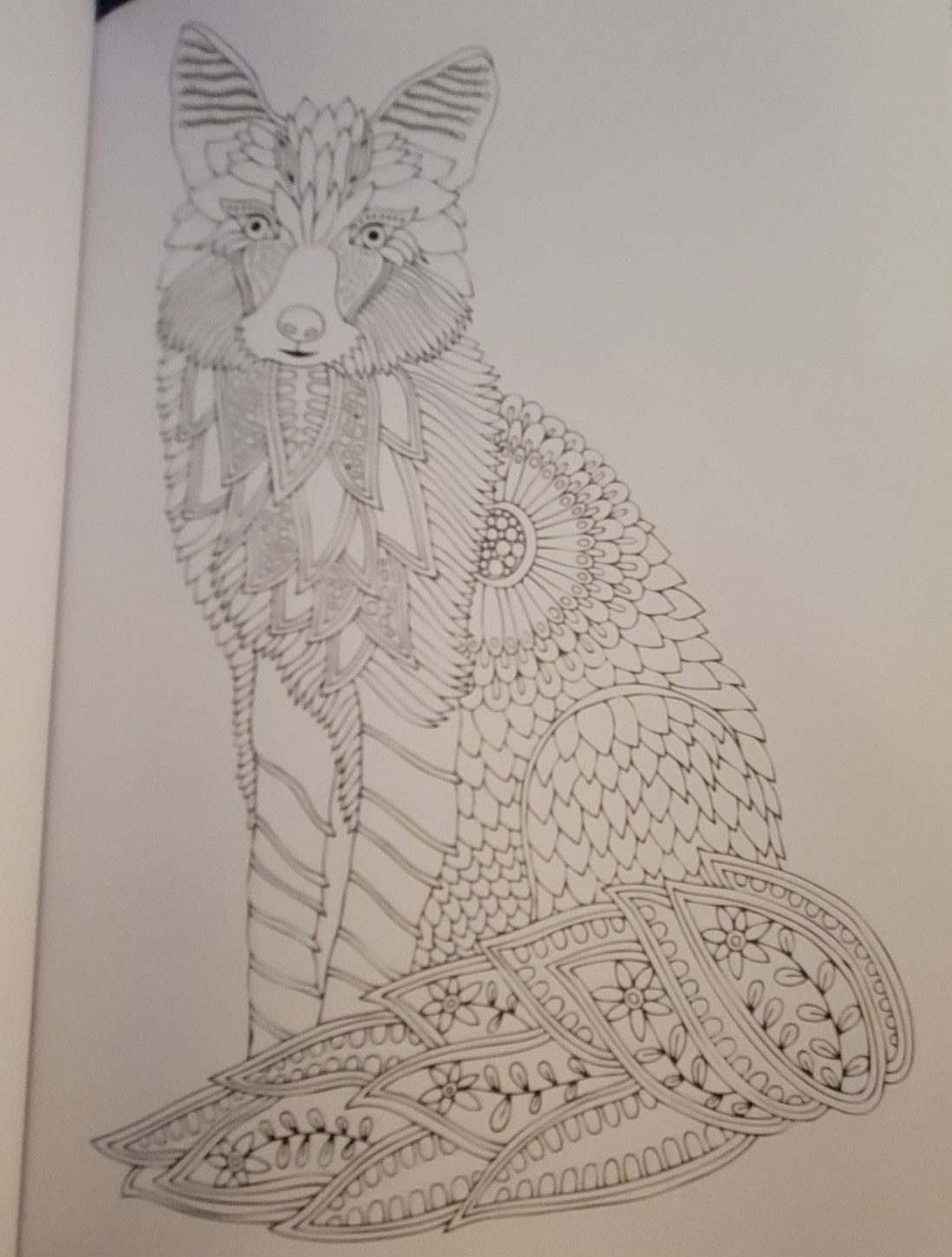 MAJESTIC CREATURES Vol 12 Adult Coloring Book With 47 Prints Ready To Frame