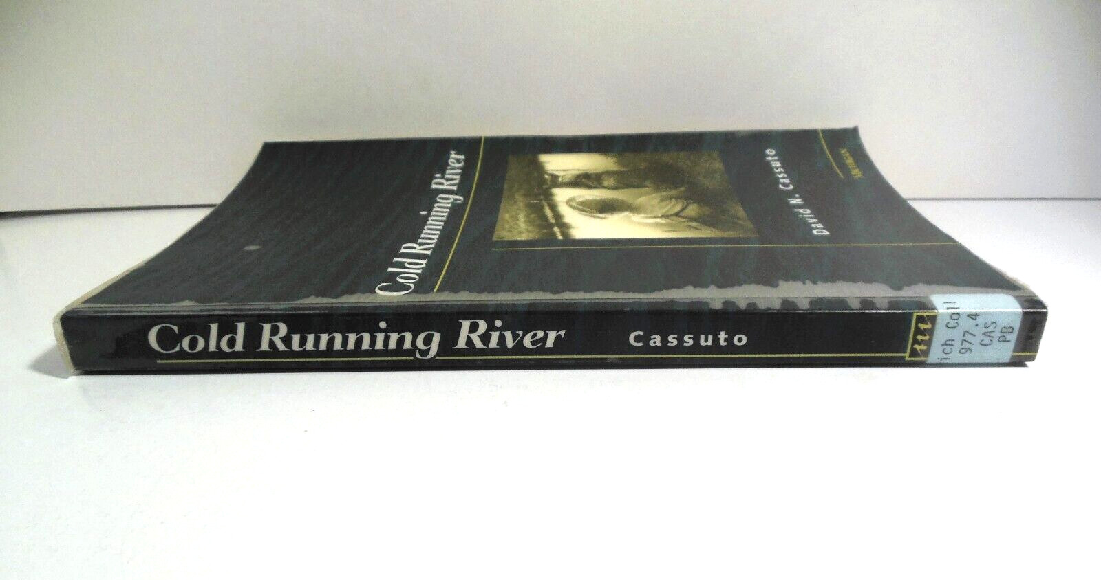Pere Marquette River Watershed Ecological Biography History Logging Neglect 1994