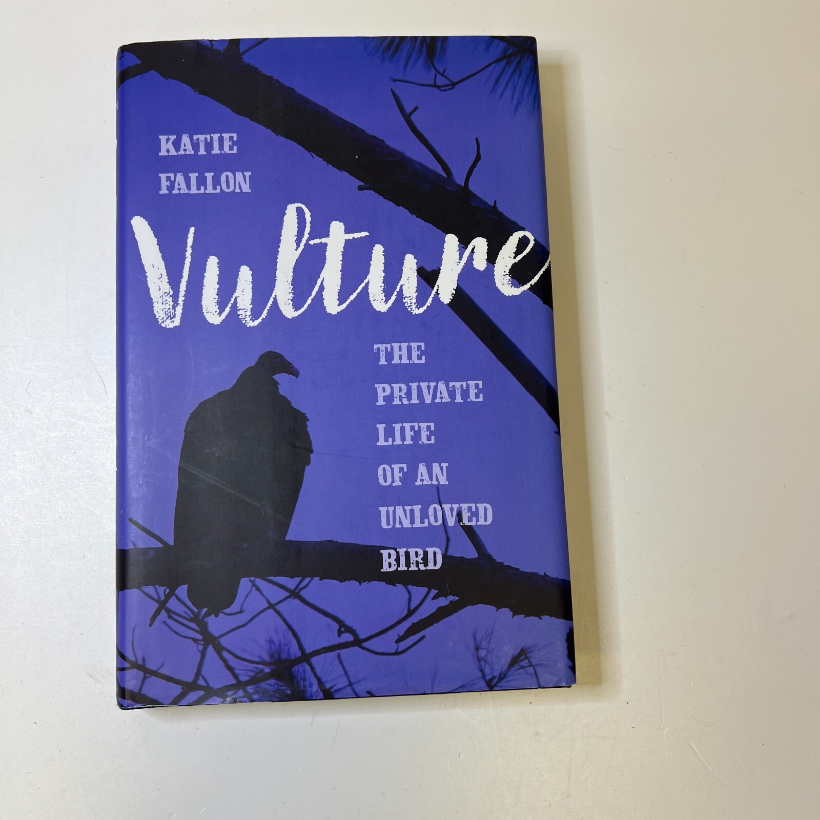Vulture The Private Life of an Unloved Bird Hardcover Katie Fal