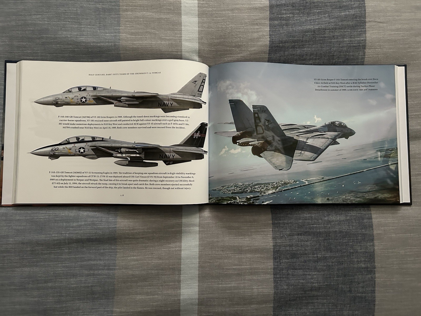 Half Century, Baby Fifty Years Of The Grumman F-14 Tomcat Parsons Bangso