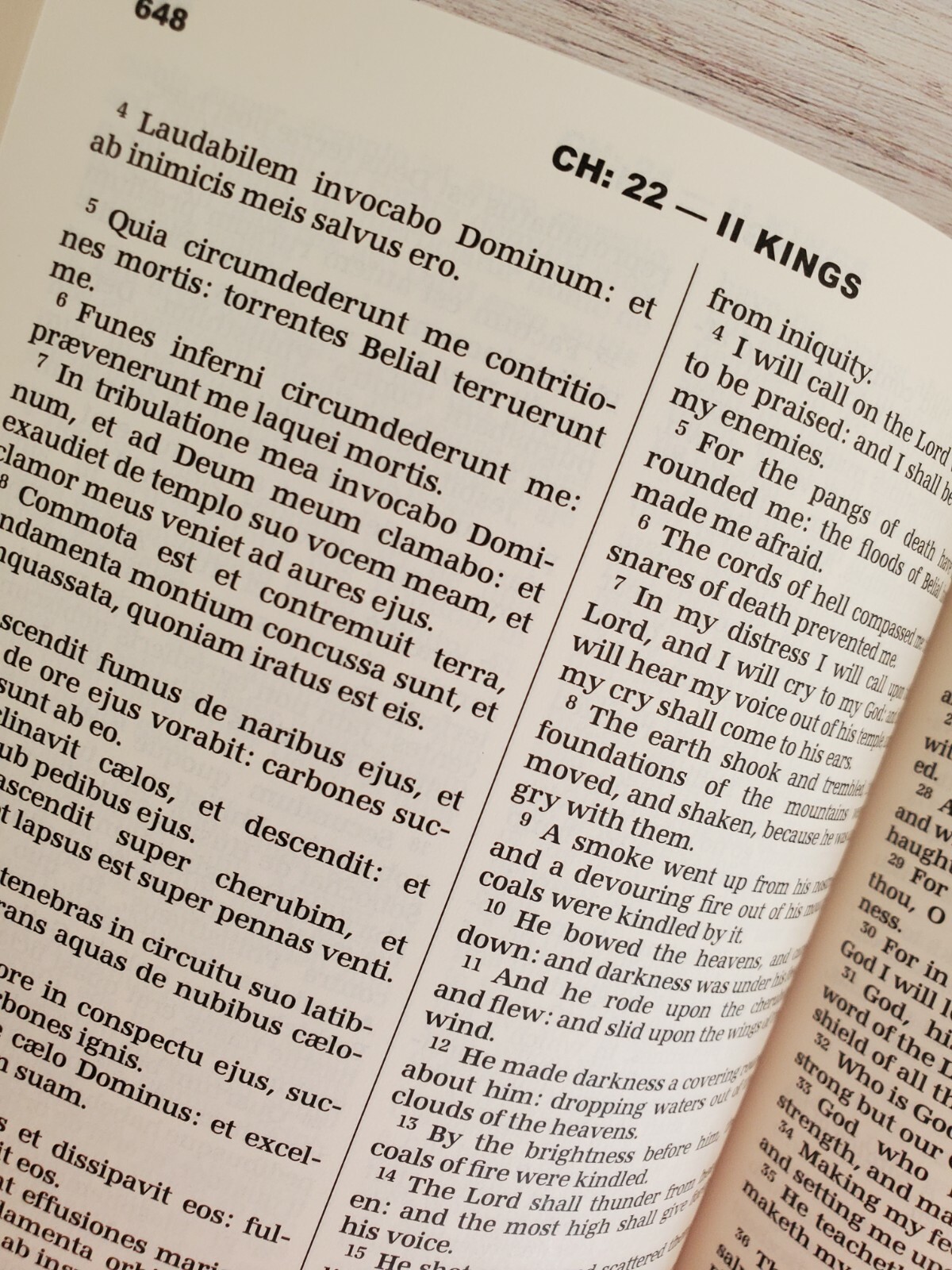 Bible Latin/English The Old Testament Volume 1 Vulgate & Challoner Rheims