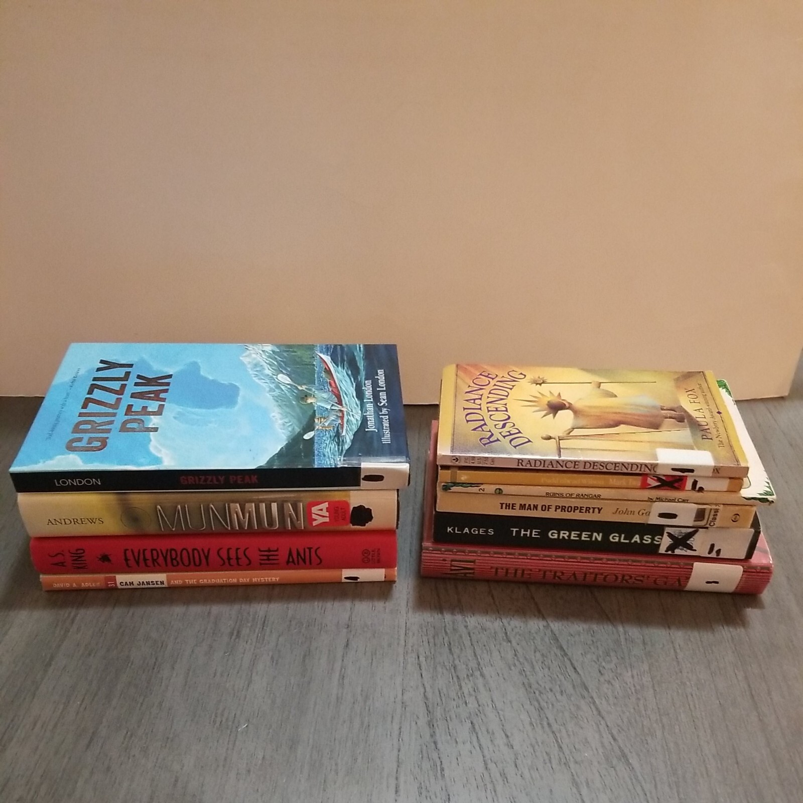 Lot of 10 Mixed Random Children’s Books and Young Adult Novels, Classic Stories