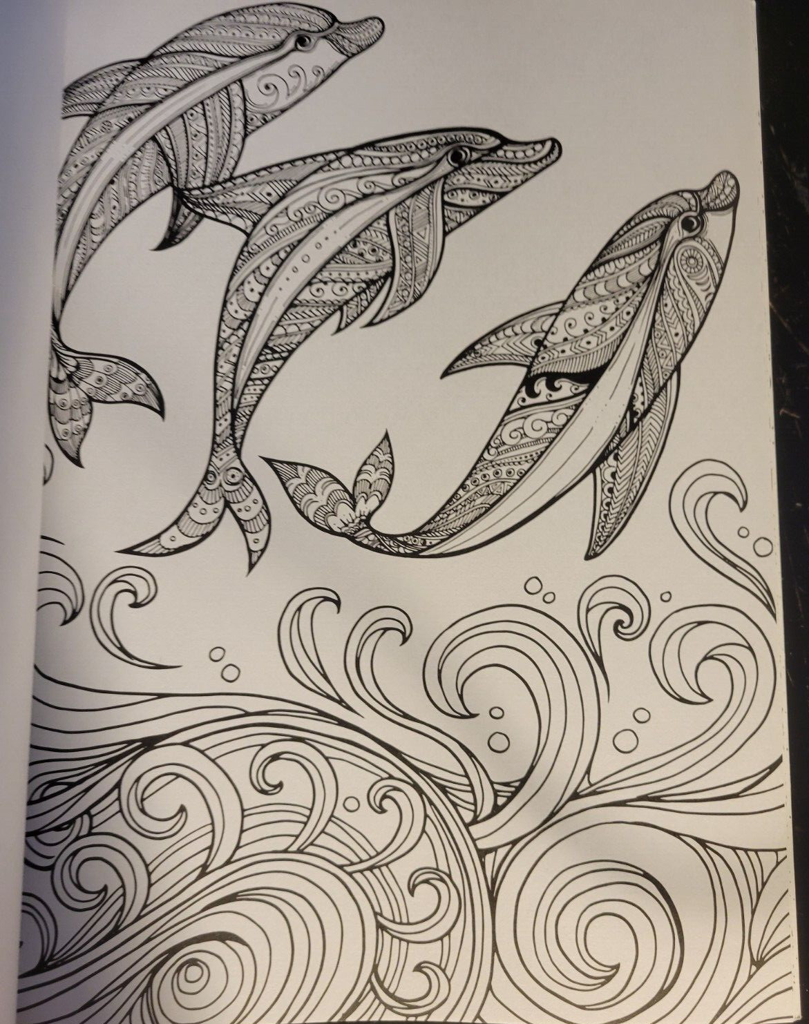 MAGNIFICENT CREATURES Vol 20 – Adult Coloring Book by TOPIX MEDIA – 47 PRINTS