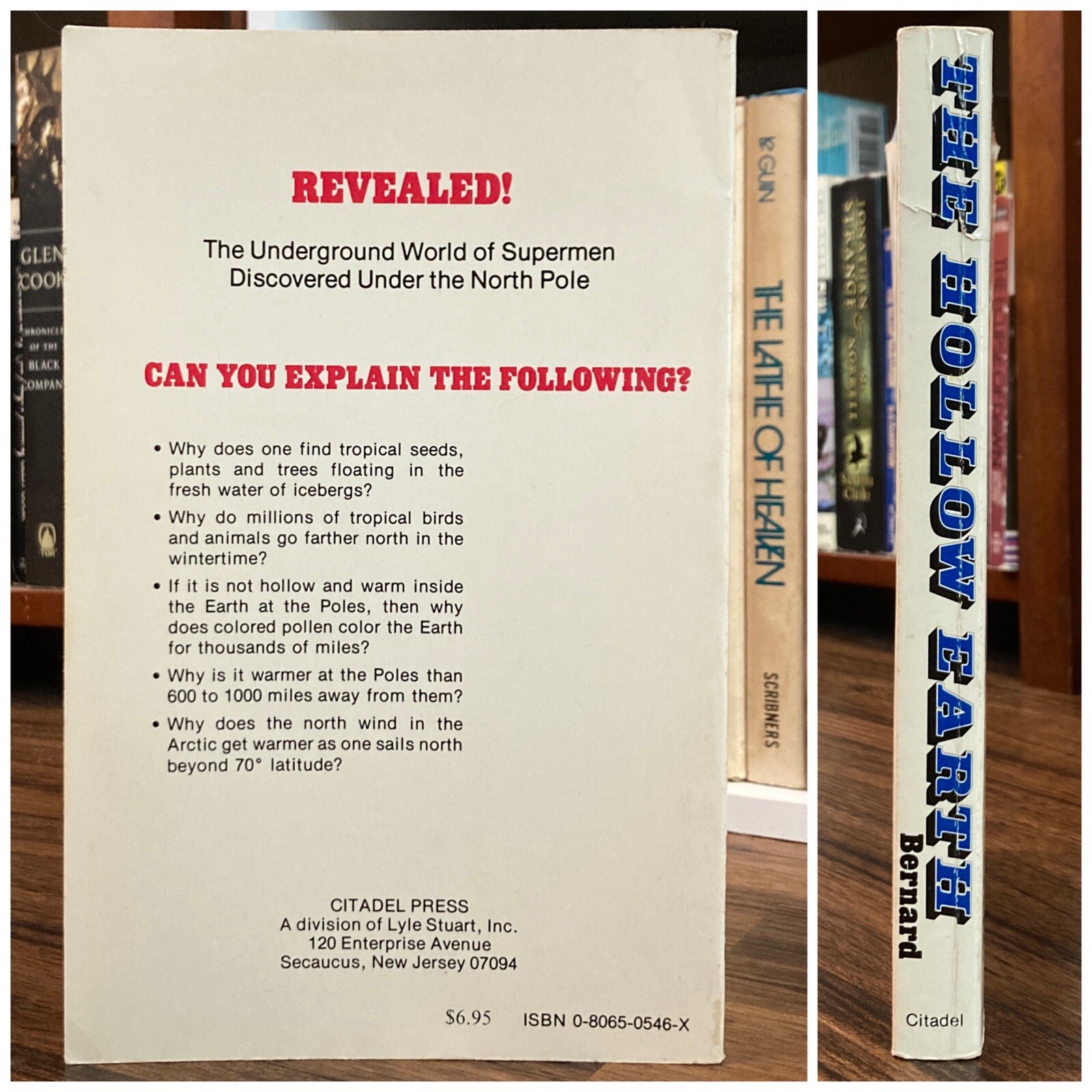 The Hollow Earth – Raymond Bernard (Citadel Press trade paperback)