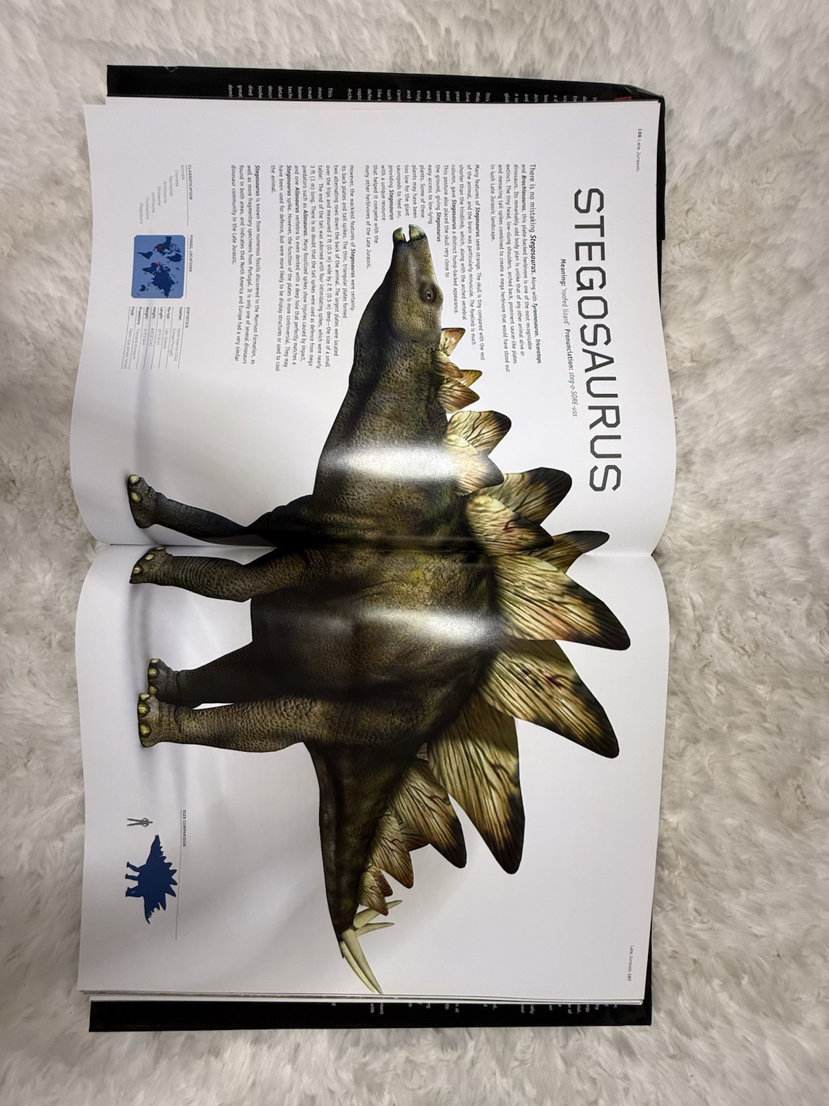 Dinosaurs by Steve Brusatte (2008, Hardcover)