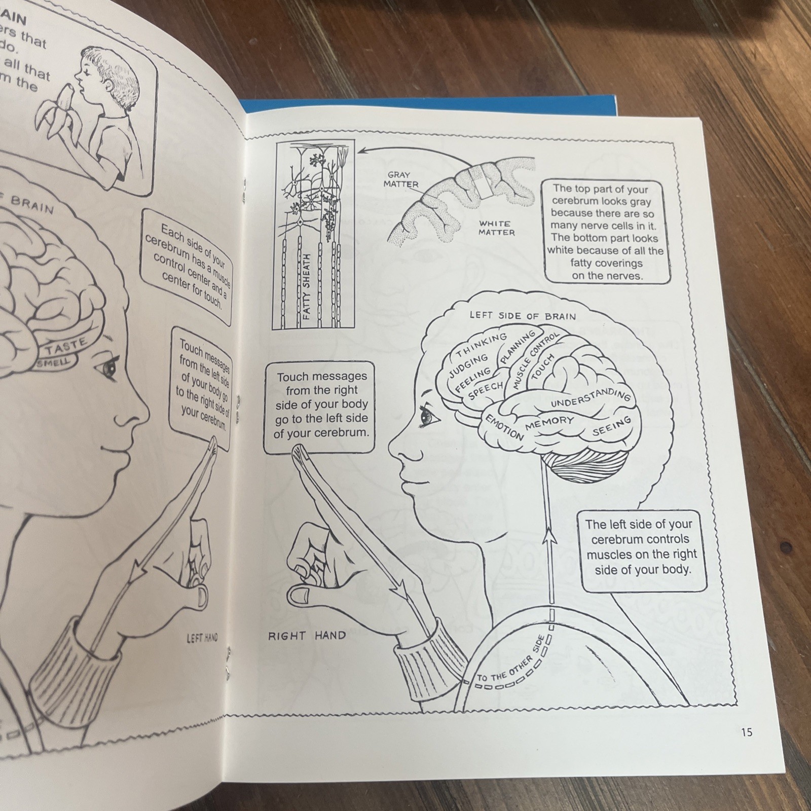Lot Of 6 Inside Your Body Usborne Dover Coloring Book Set Human Children