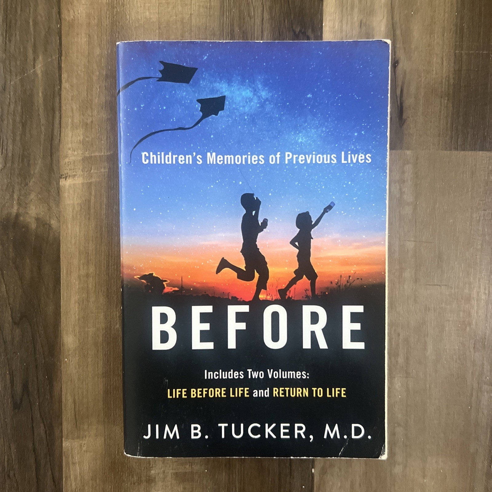 Before: Children’s Memories of Previous Lives by Jim B Tucker: Used 1ST EDITION