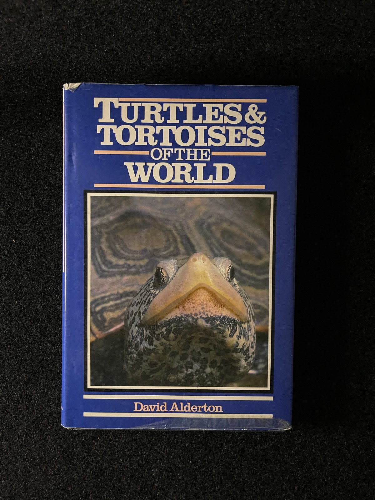 Turtles & Tortoises Of The World by David Alderton (Hardcover)