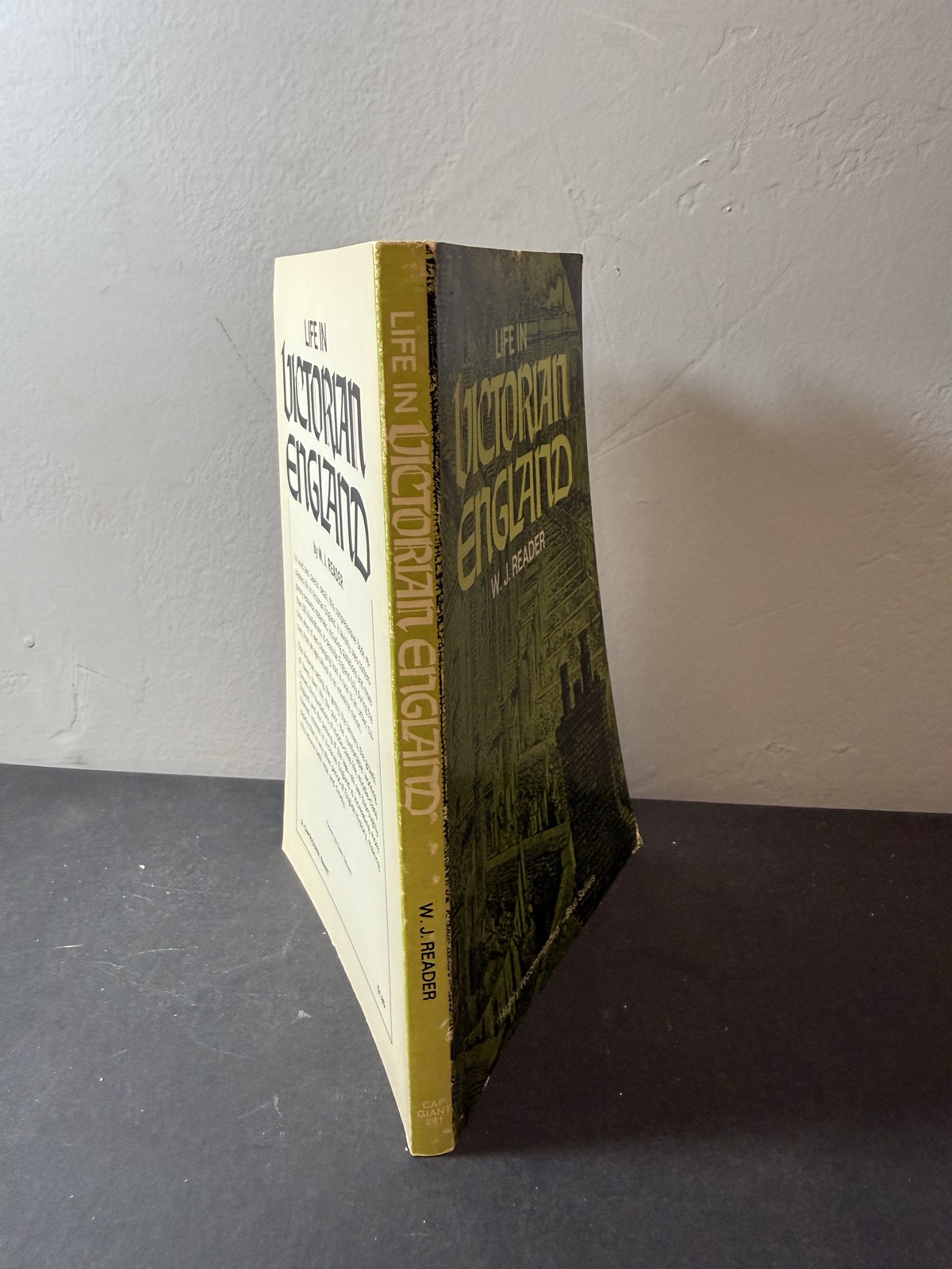 Life in Victorian England W. J. Reader 1967 Capricorn Books Paperback History