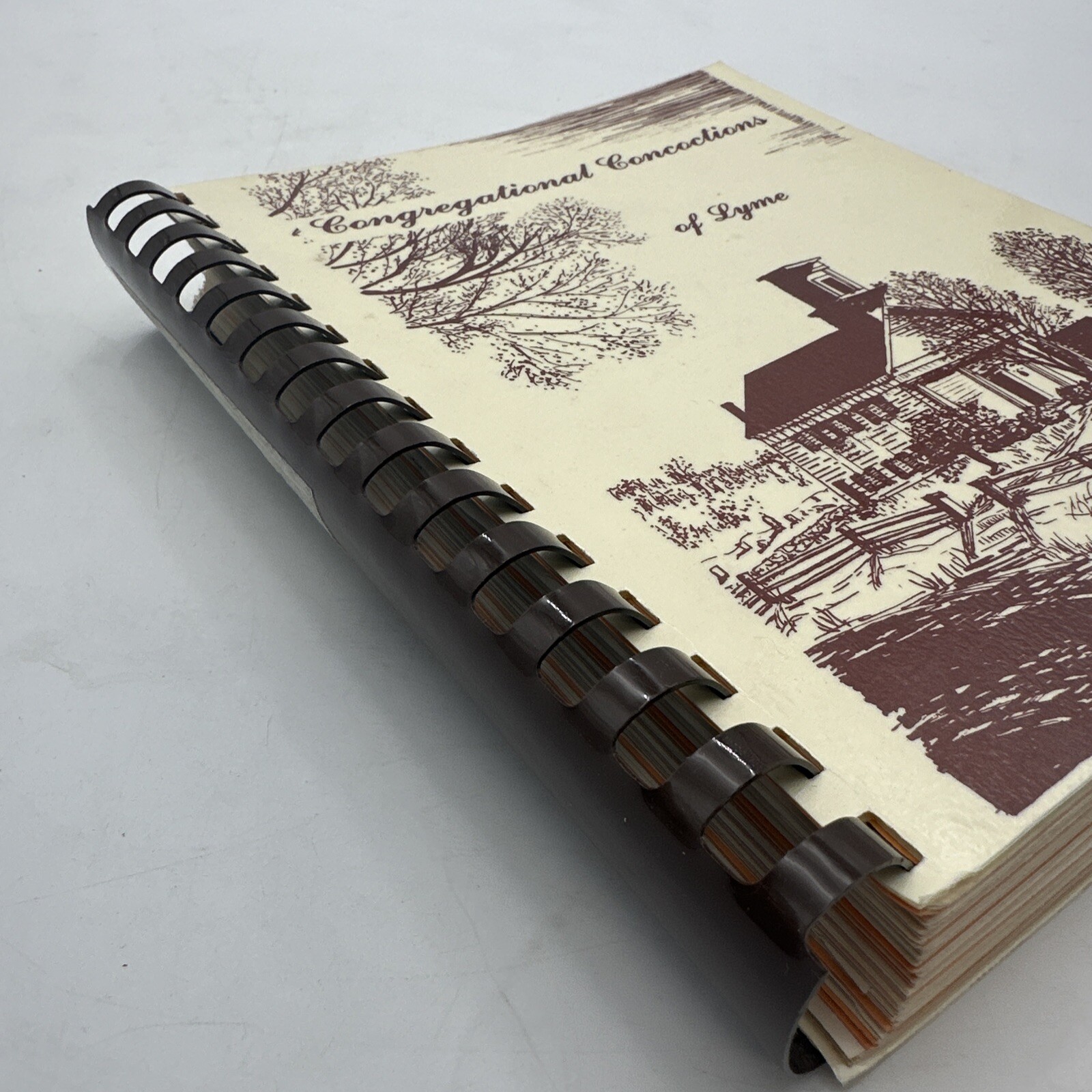 Lyme Conn. 1982 Congregational Concoctions Spiral 393 Pages Vintage Recipe Book