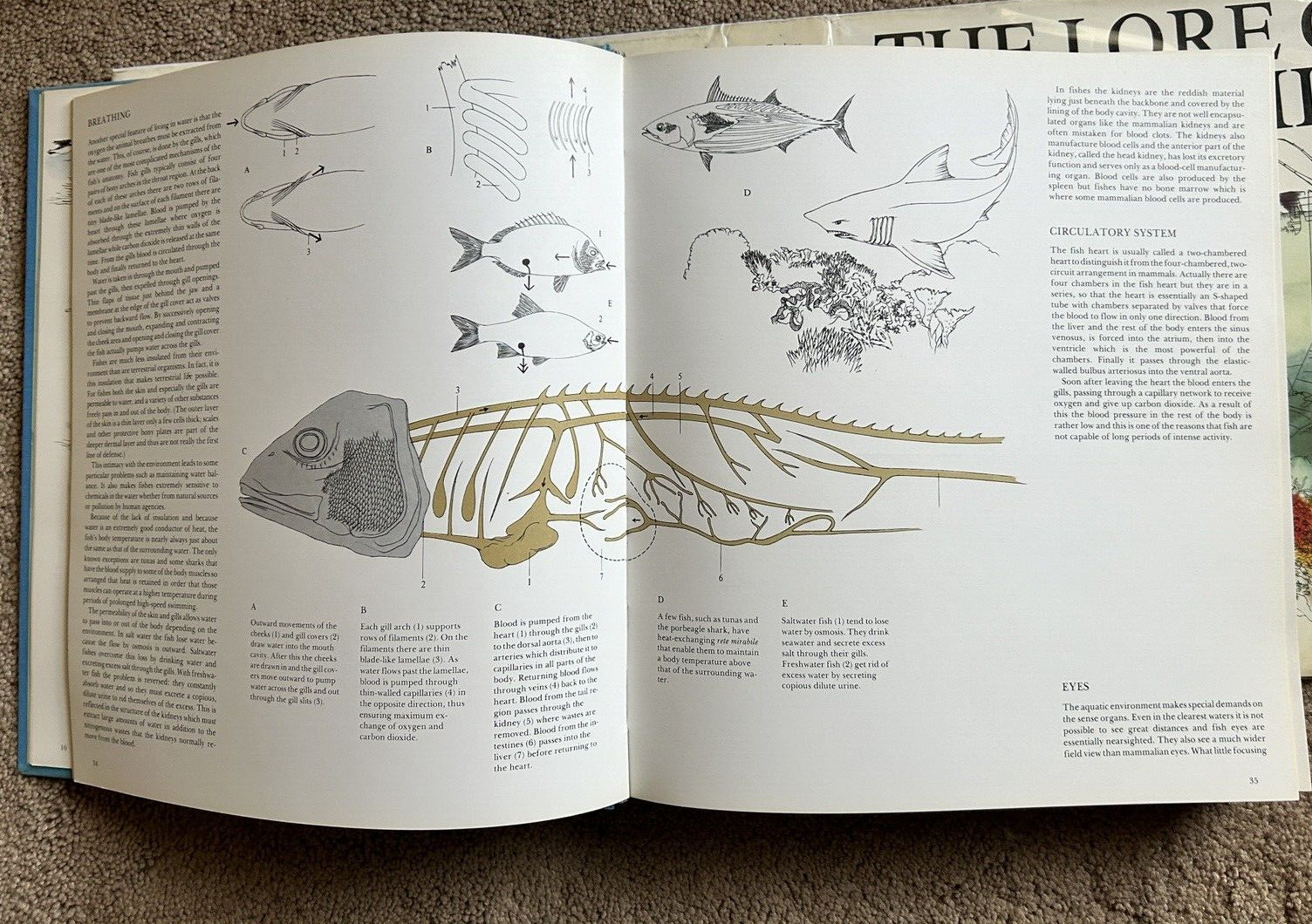 The Lore Of Sportfishing Tre Tryckare, E. Cagner ( 1976 : HC/DJ)