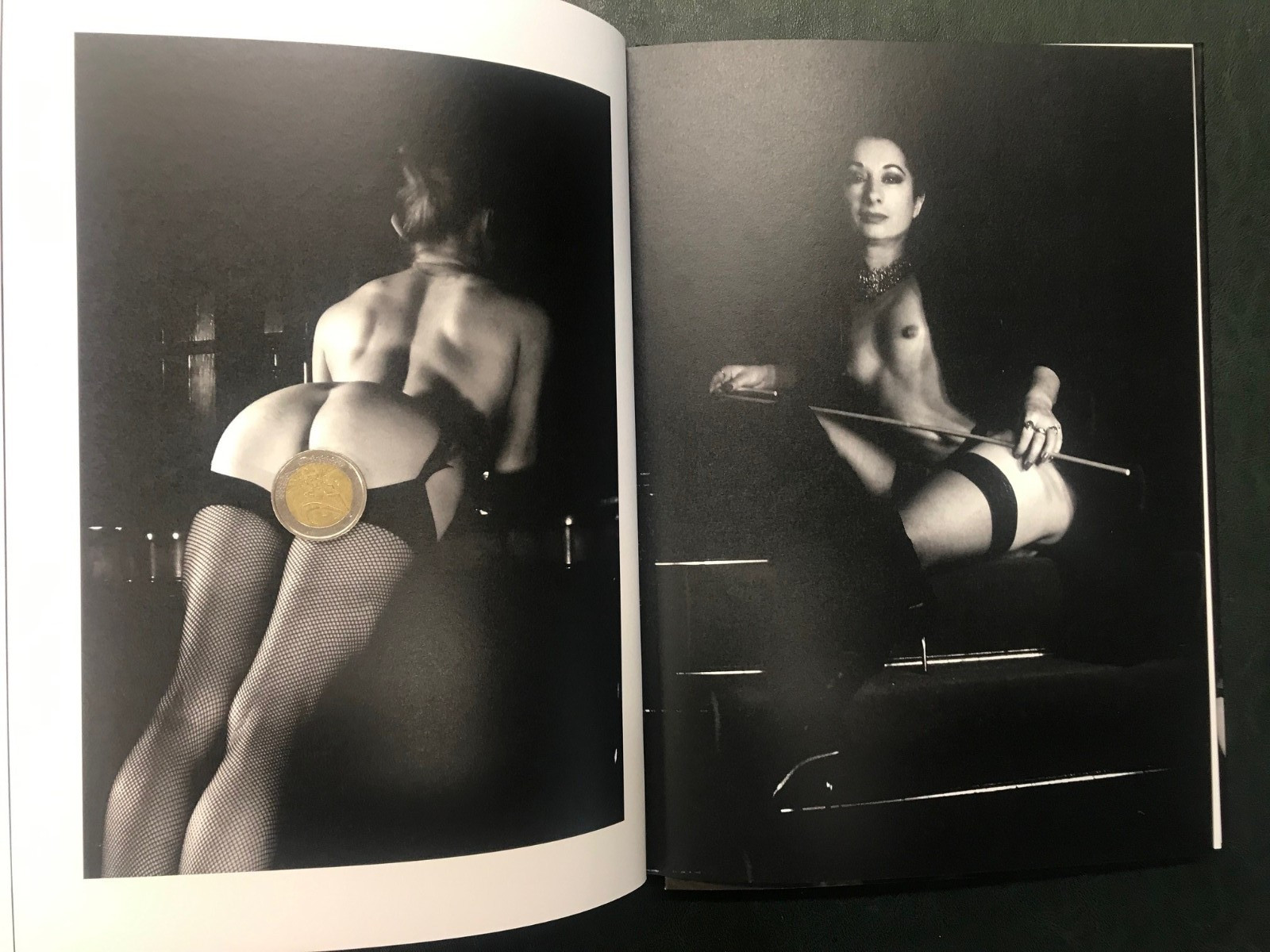 Erotic Domination von China Hamilton, BDSM, Edition Reuss HC 2017, NEU + OVP