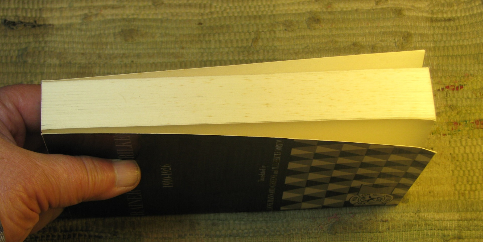 LETTERS OF RAINER MARIA RILKE 1892-1910 & 1910-1926 ©1972 Norton Library Paperba