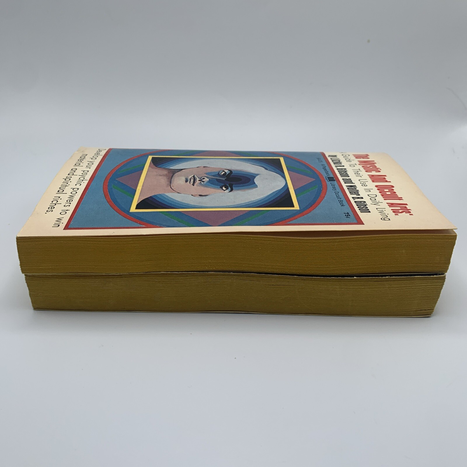 The Mystic and Occult Arts Guide Litzka Gibson 1969 Secret Places Williamson 1st