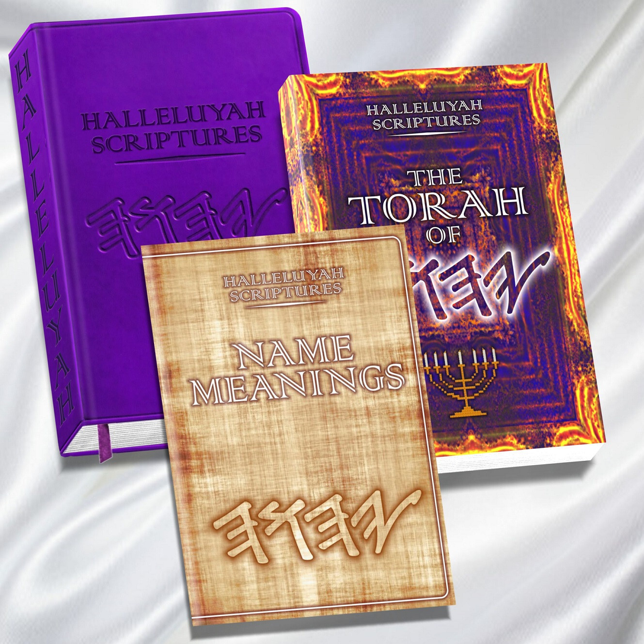 BIBLE BIBLE BIBLE John 3:16 Restored Names Bible 2 Free Bks & Free Shipping