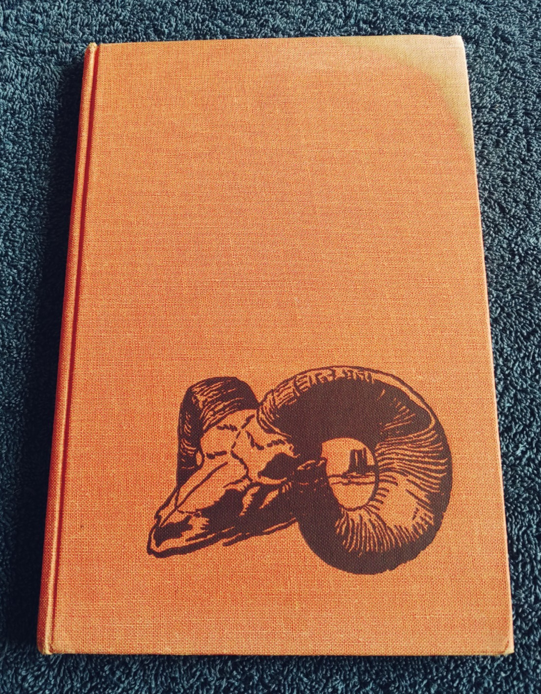 Desert Dan-Elizabeth Coatsworth-Harper Johnson-1960-Vintage Lit