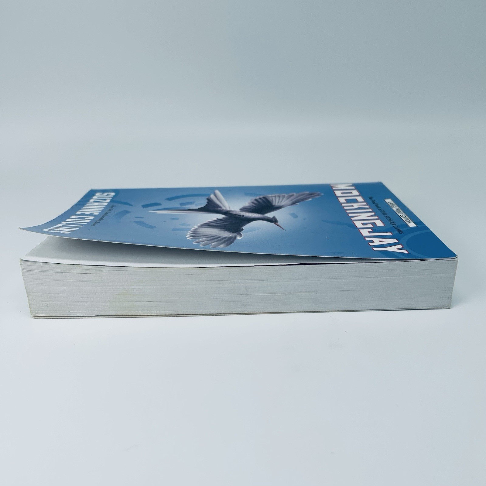Mockingjay by Suzanne Collins LARGE PRINT EDITION Hunger Games Trade Paperback
