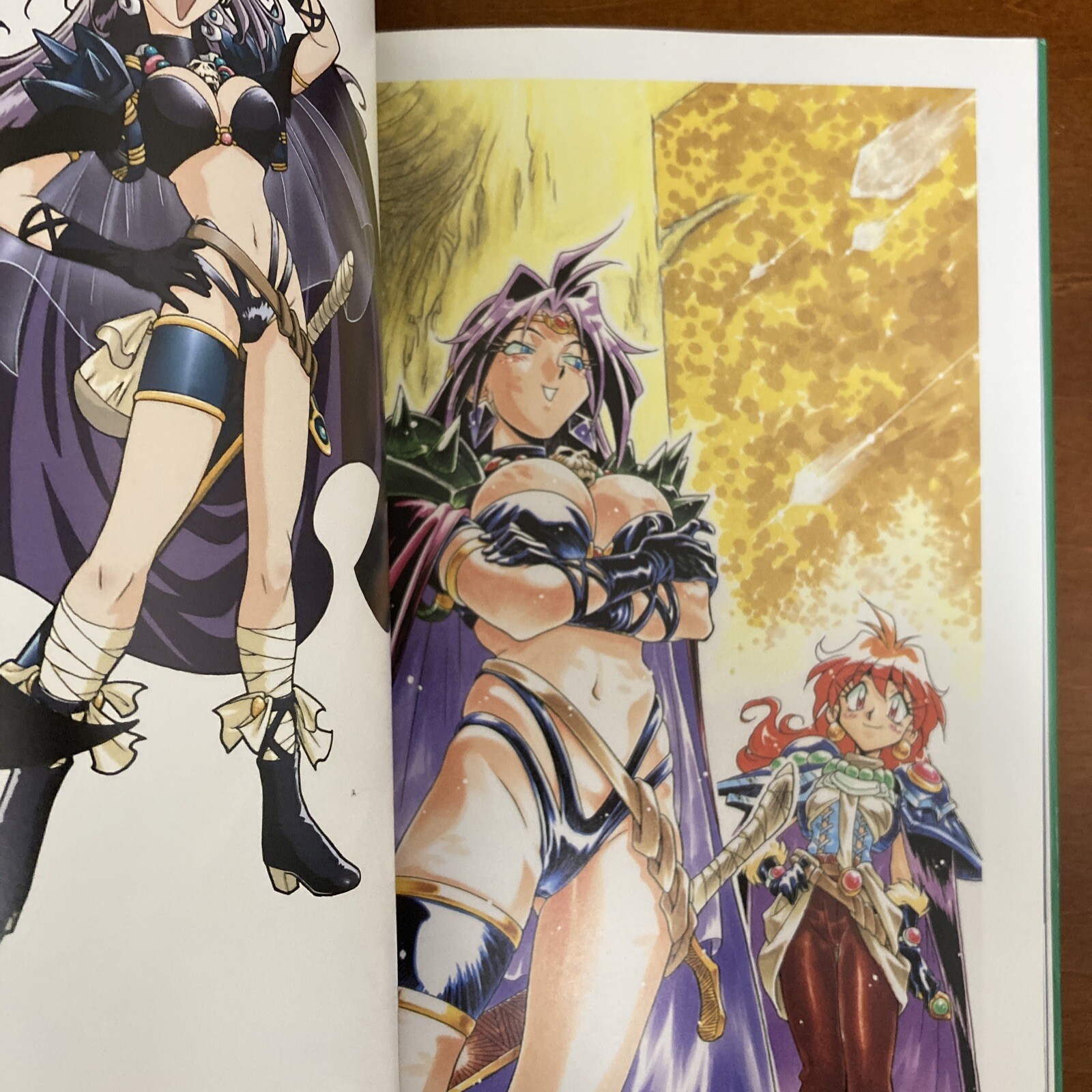 Slayers DRA-MATA Rui Araizumi Art Book Illustration