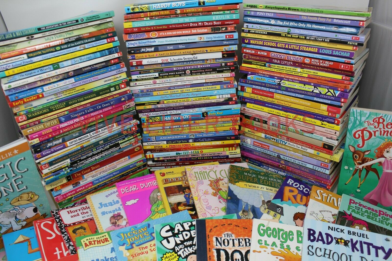 Bulk/Huge Lot of 300 of Children’s Kids Chapter Books – Random – Free Shipping!