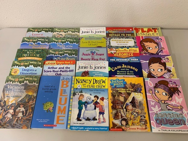 Lot of 24 2nd 3rd Grade Chapter Books – Junie B. Jones, Magic Tree House