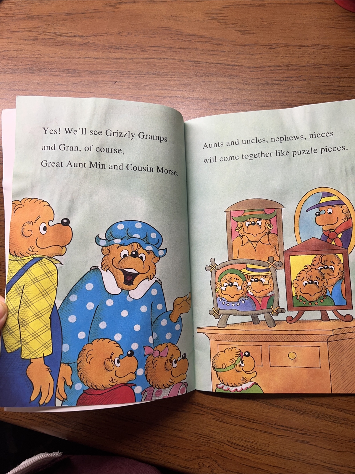 I Can Read Level 1 Ser.: The Berenstain Bears’ Family Reunion by Jan Berenstain