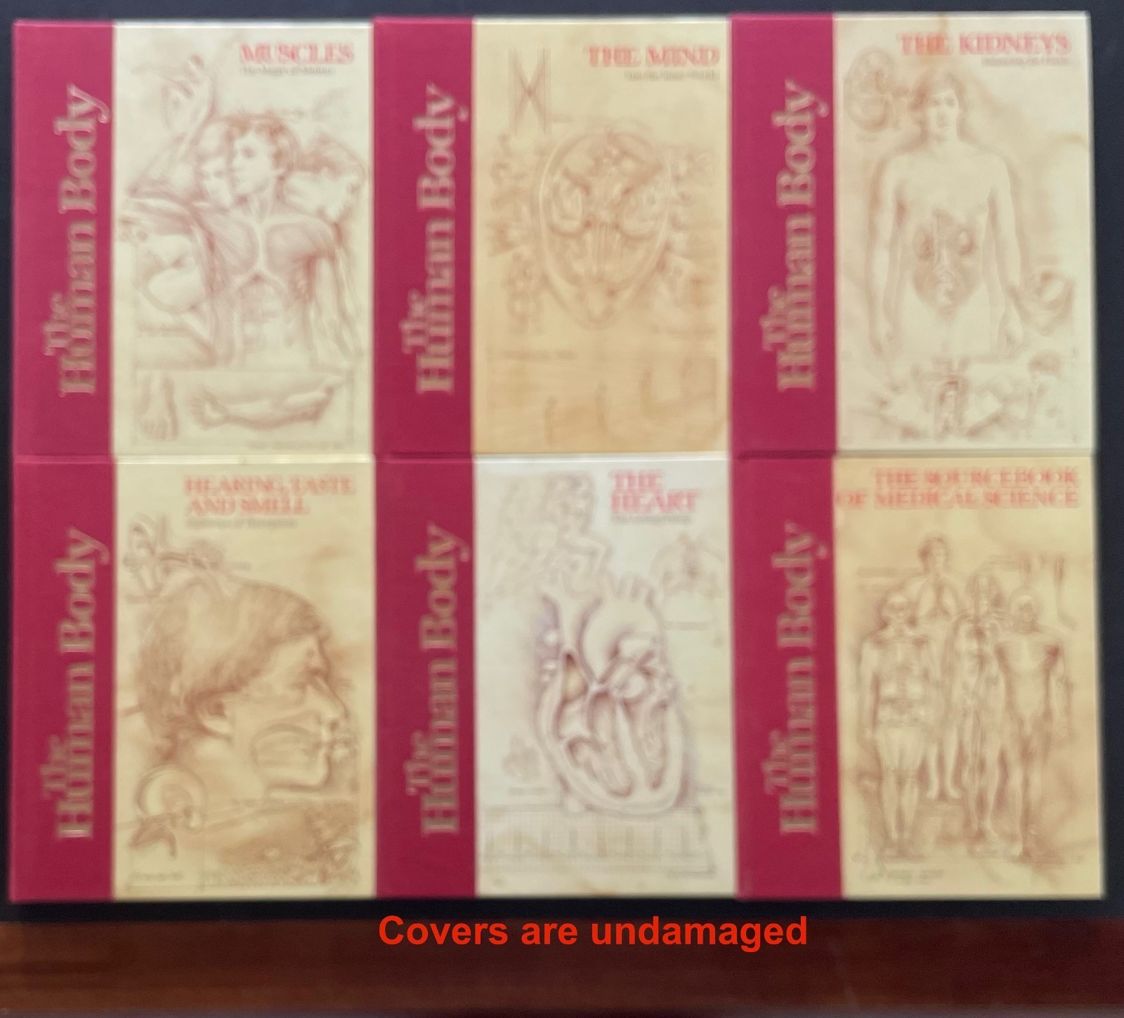 THE HUMAN BODY Complete Set. Vol 1-20. 1985. Torstar. Good Condition