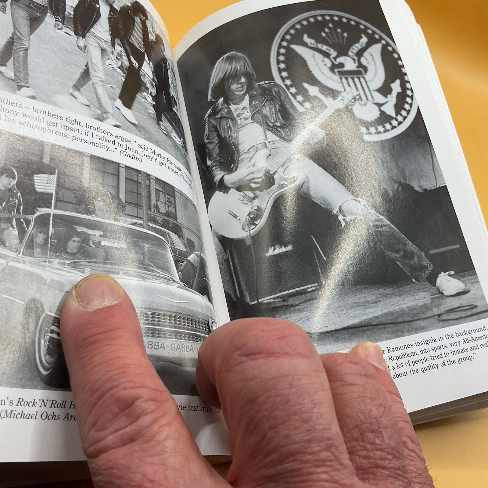 HEY HO LET’S GO TheStory Of THE RAMONES. 360+pages!!