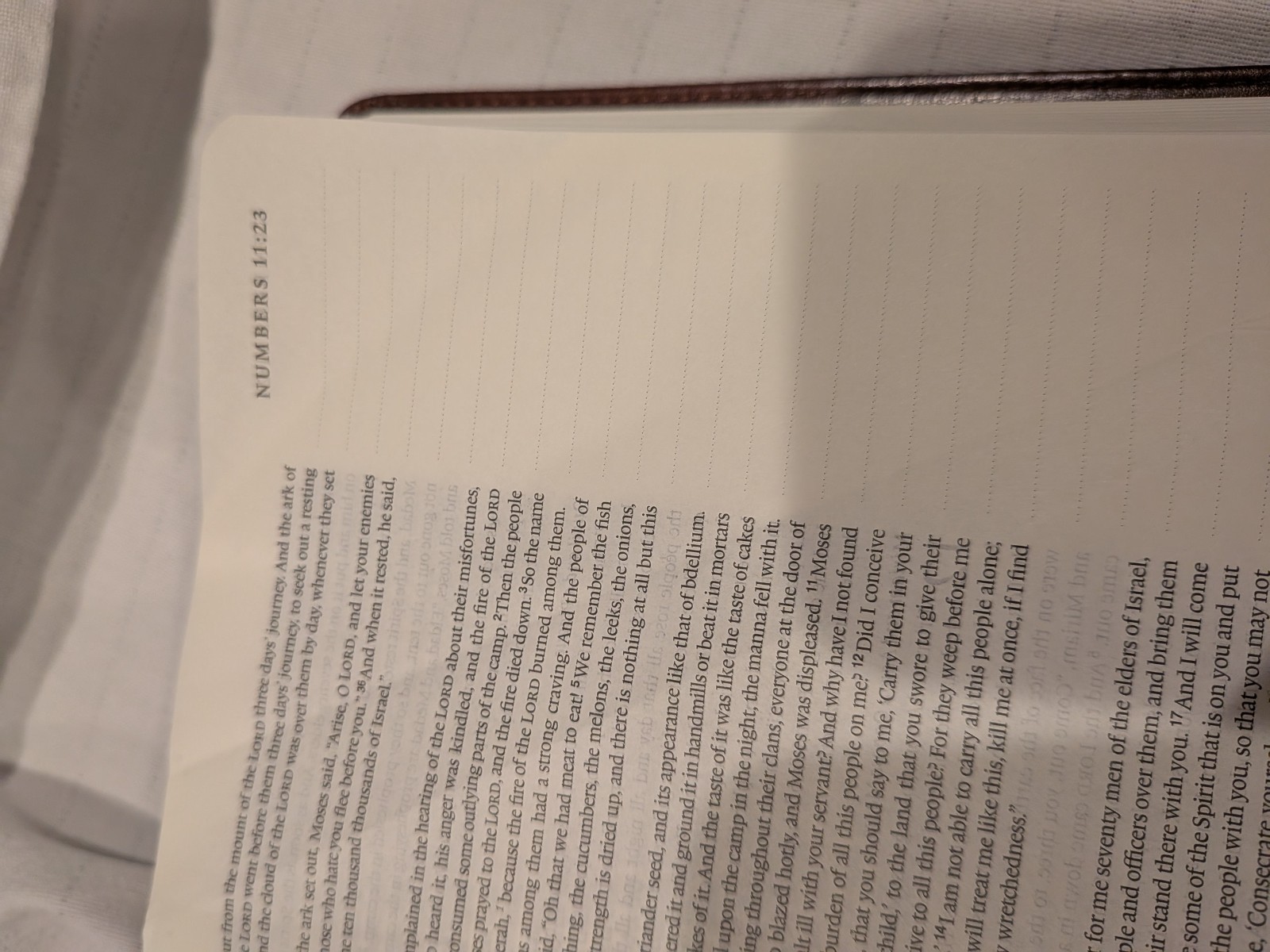 Crossway ESV Single Column Journaling Bible TruTone Leather Chestnut Leaves