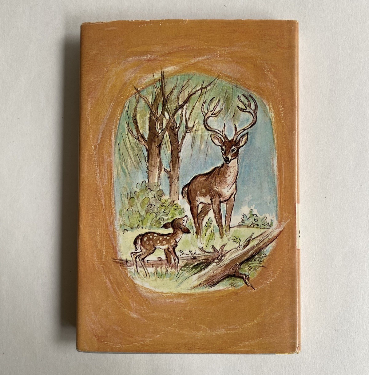 Bambi by Felix Salten (1956) HC/DJ Girard Goodenow Junior Deluxe Edition