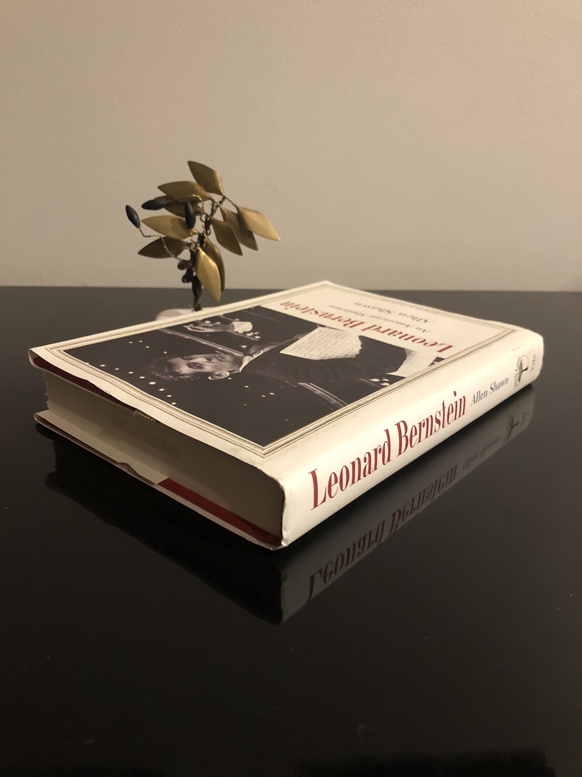 Leonard Bernstein An American Musician Allen Shawn Yale Uni 2014 F.Ed/F.Pr.ExLHC