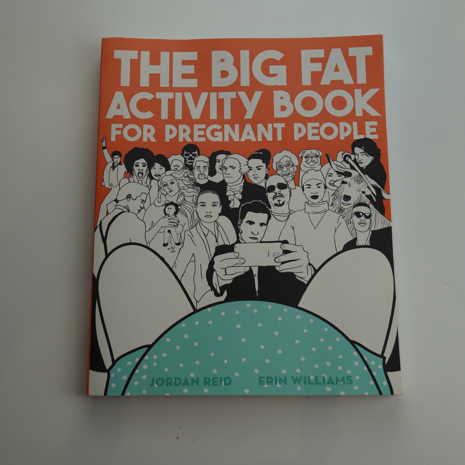 The Big Fat Activity Book For Pregnant People, Jordan Reid & Erin Williams
