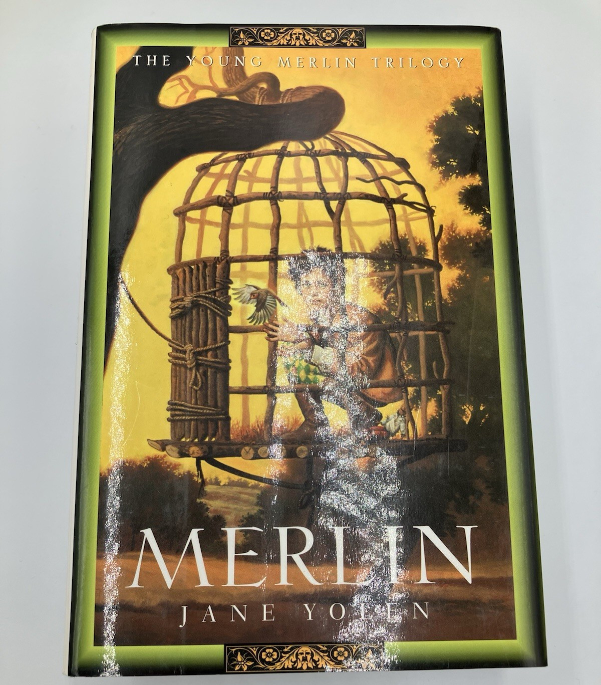 The Young Merlin Trilogy Passager Hobby Merlin Vintage Lot of 3 HC DJ Jane Yolen