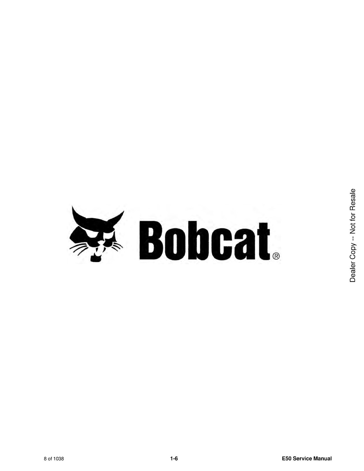 BOBCAT E50 Compact Excavator Service Manual 2019, SECURED, COVERING, XL FOLDOUTS