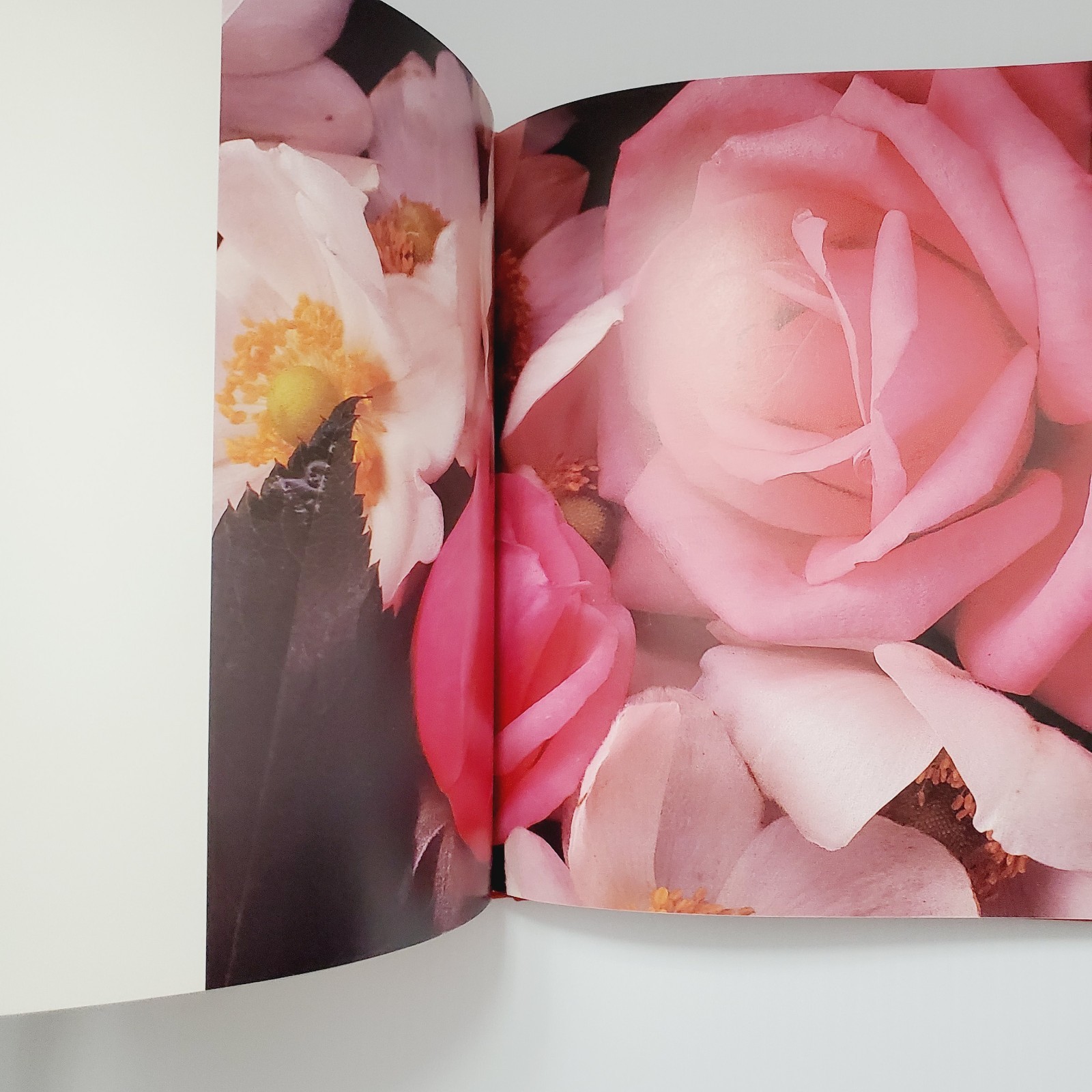 The Romantic Rose Hardcover Book Gift Flowers Gardening Plants