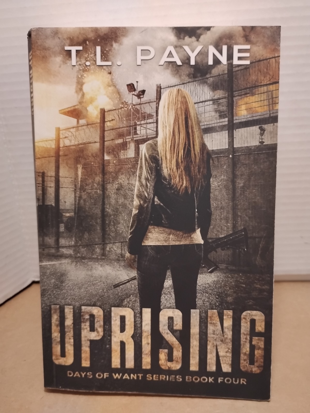 DAYS OF WANT #’s 1-5 by T. L. Payne – YA Post Apocalyptic Action Fantasy Series