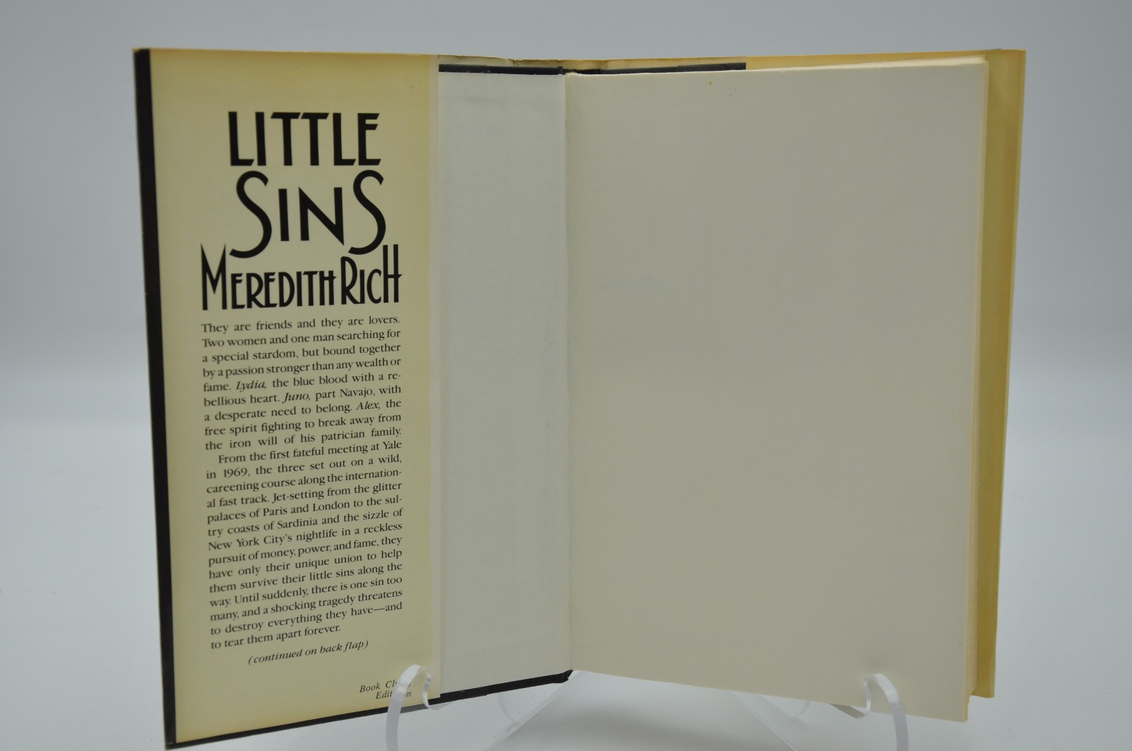 Little Sins – Meredith Rich (Hardcover, 1985, BCE)
