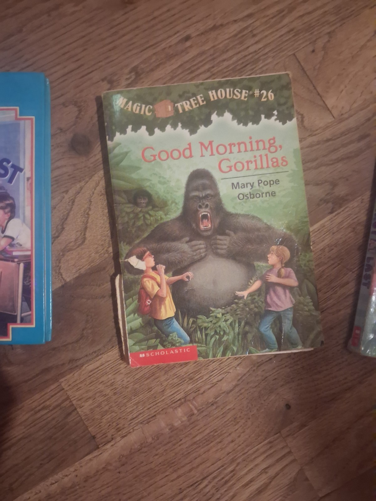 Scholastic Magic Tree House #26 Good Morning, Gorillas Paperback English