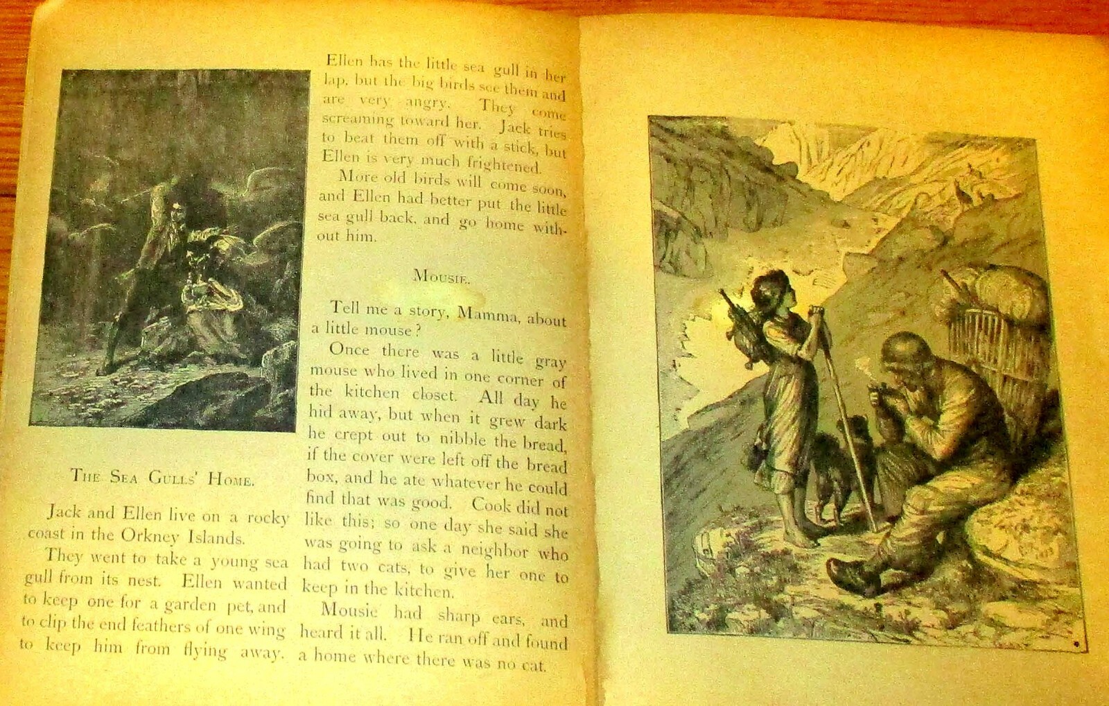 Pet’s Picture Book With Pretty Stories 1897 Little Tots Series H/C 34 pages