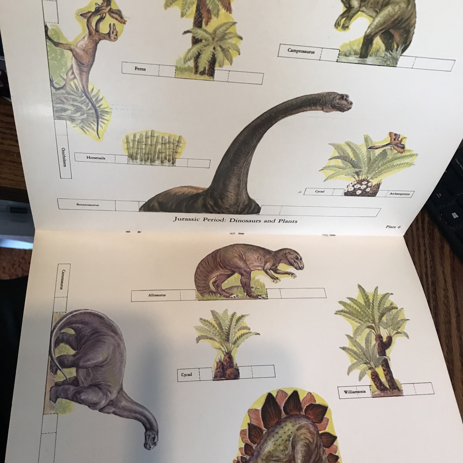 Dinosaur Dioramas to Cut and Assemble by Matthew Kalmenoff