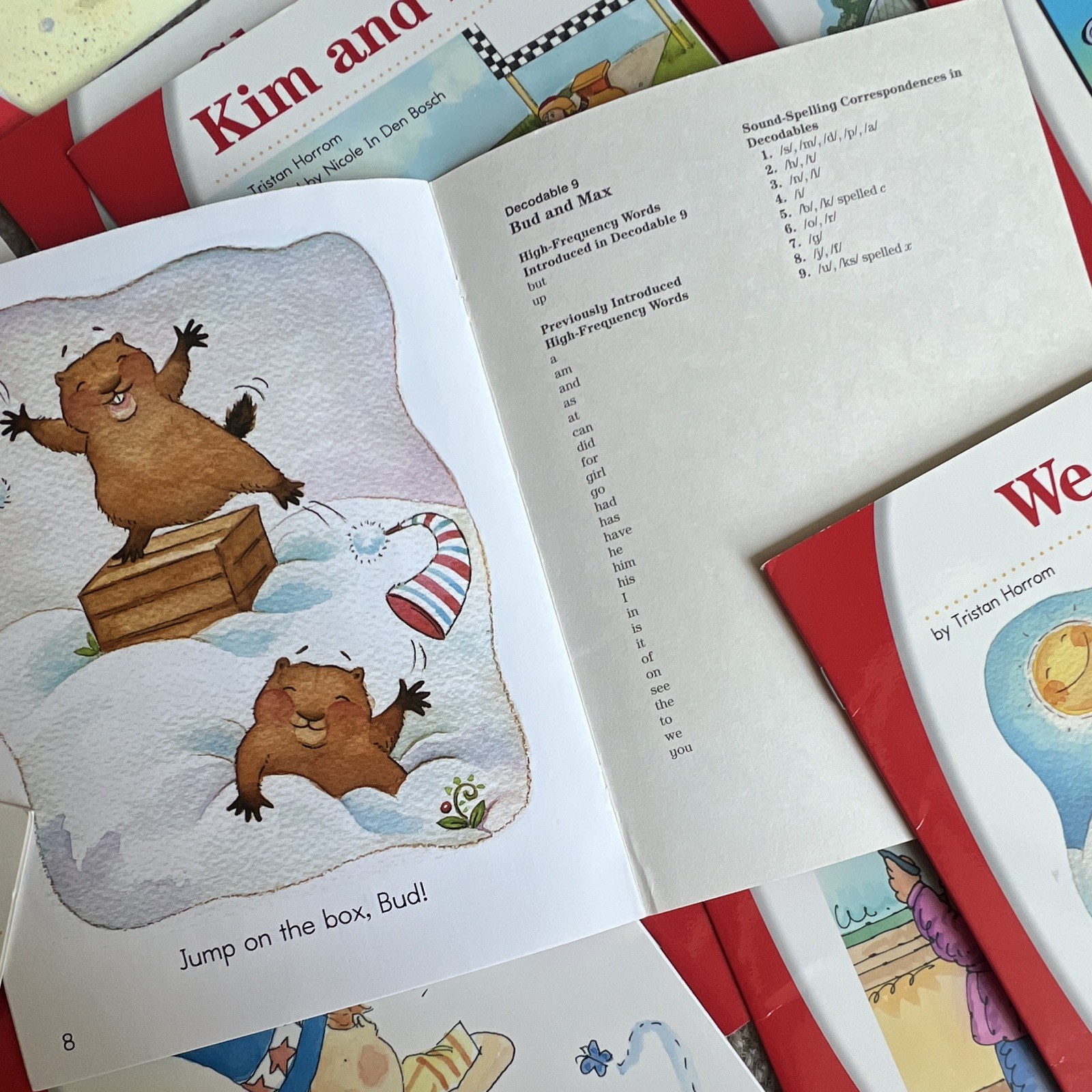 SRA Level K Reading Books Lot 35 Pre-Decodables & Decodables Complete Set