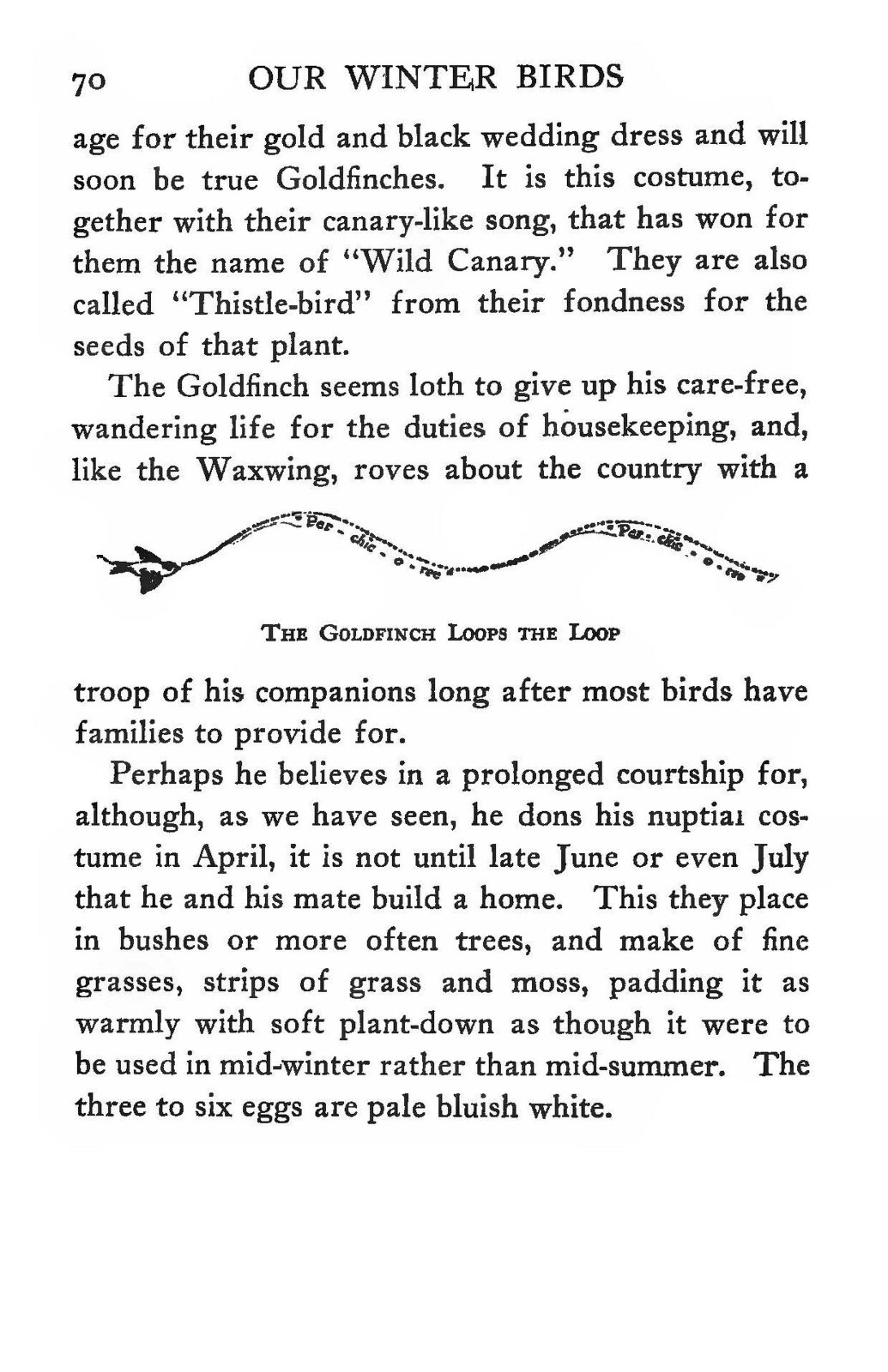 1918 Our Winter Birds How To Know And How To Attract Them 191 Pages
