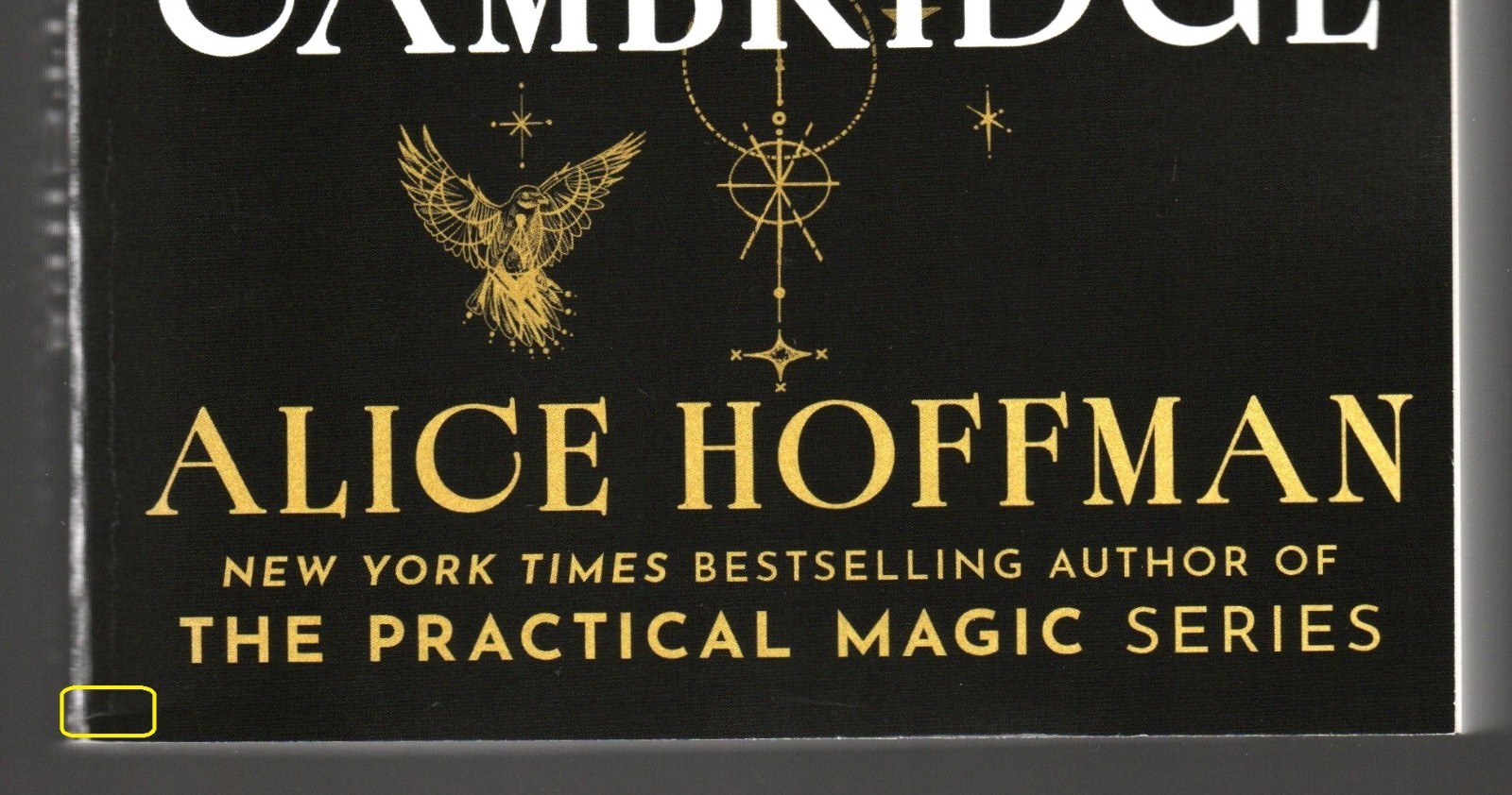 The Witches of Cambridge by Alice Hoffman ARC Free Shipping