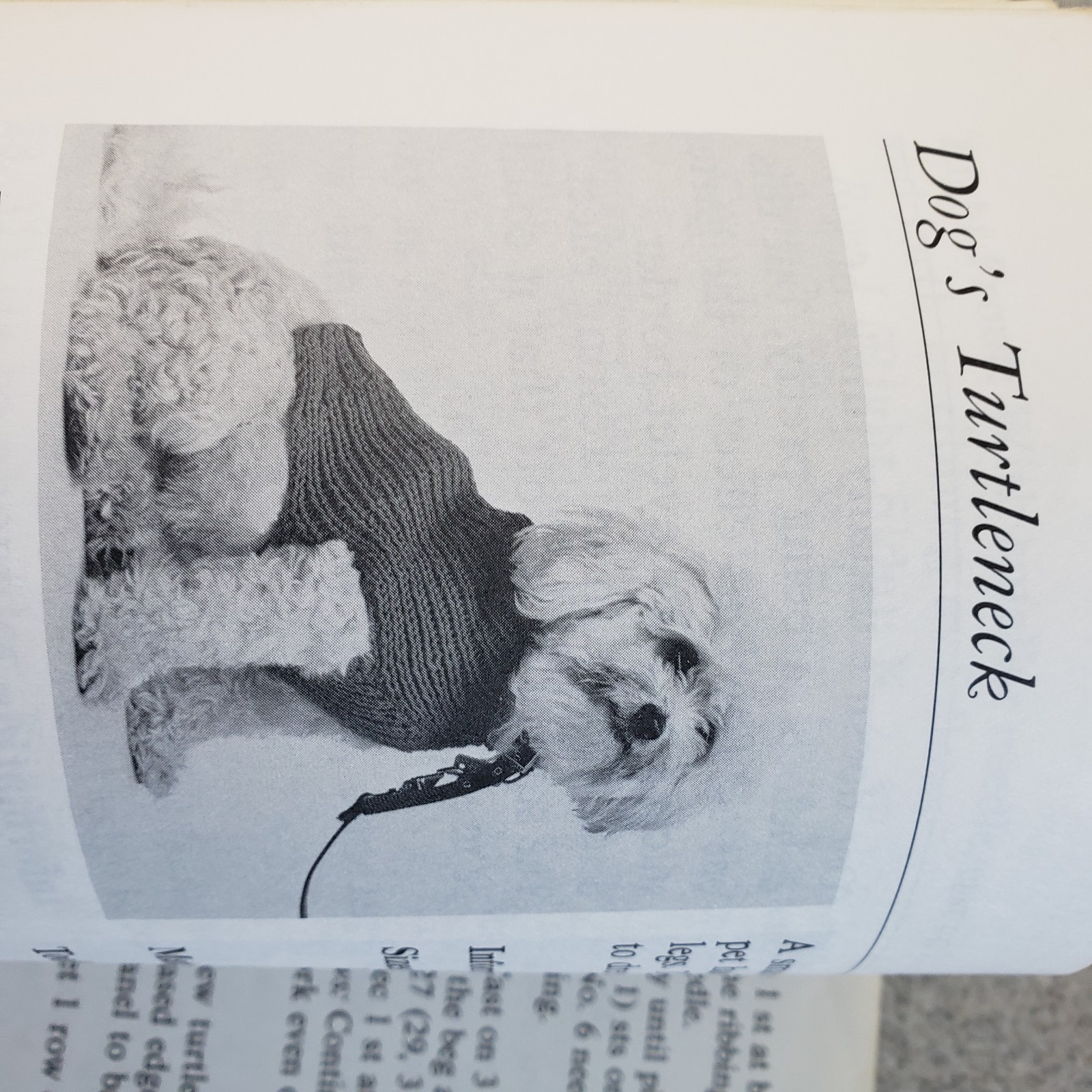 Latge Print Needlecraft Book Mildred Graves Ryan 51 Projects Knit Crochet Needle