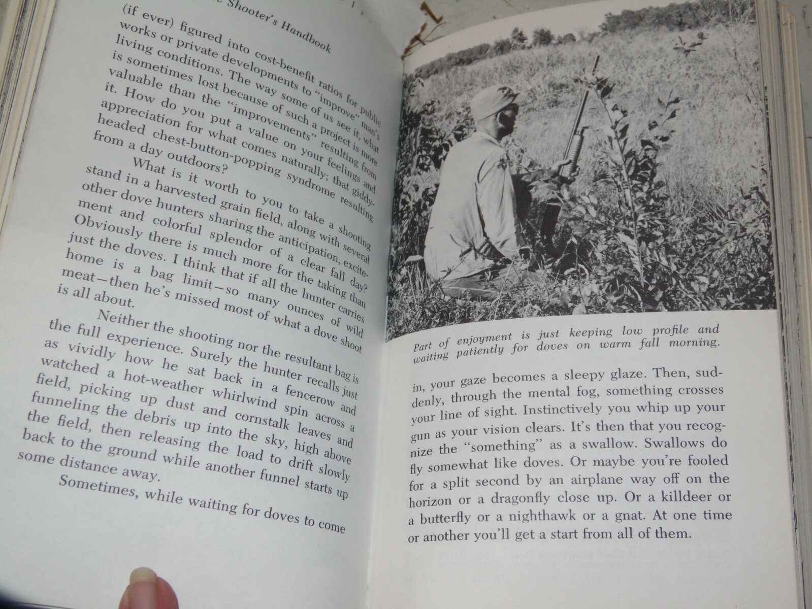 Dove Shooters Handbook – Dan M Russel – 255 Pages