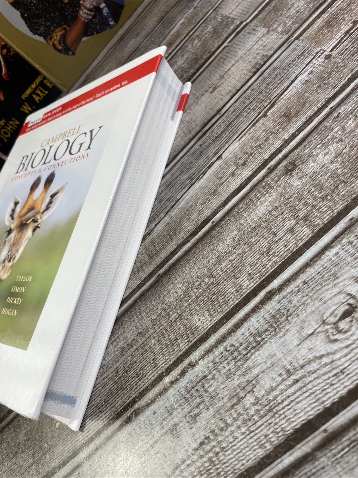 Campbell Biology: Concepts & Connections [RENTAL EDITION] (10th Edition) – VG