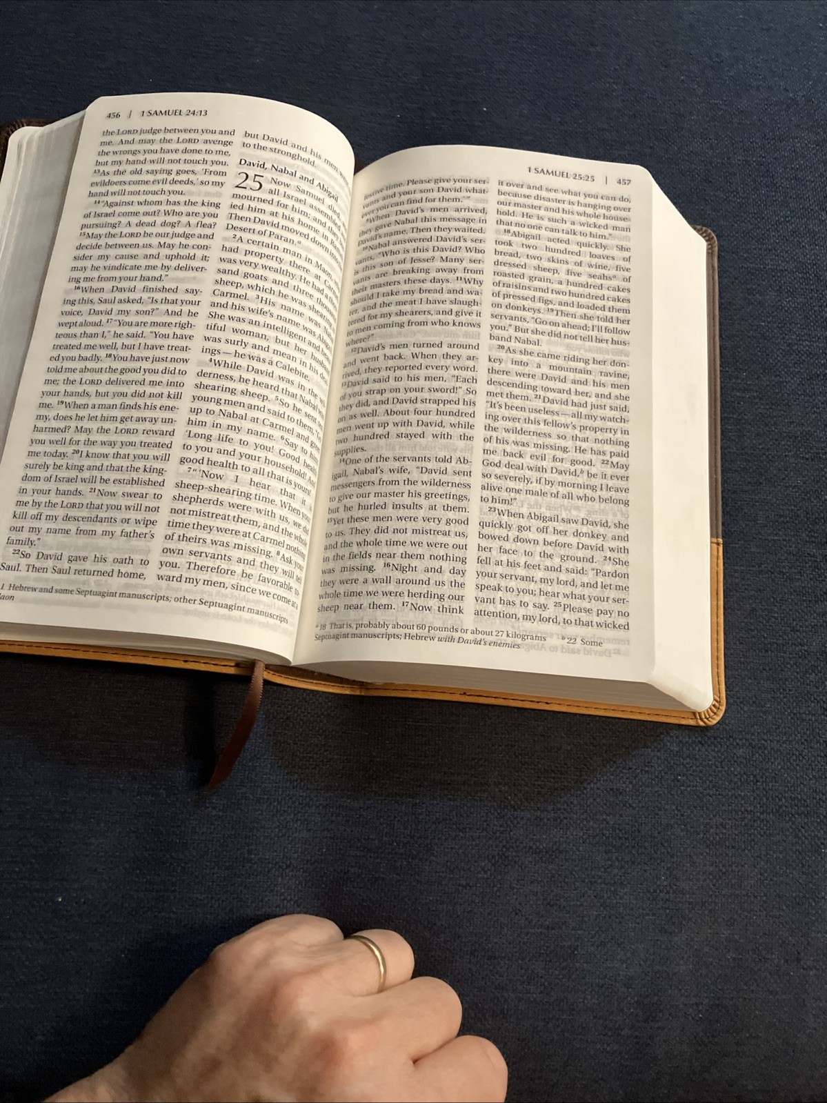 Holy Bible NIV Pew Bible, Large Print, 2009 Zondervan, Amber Duo-Tone Leather