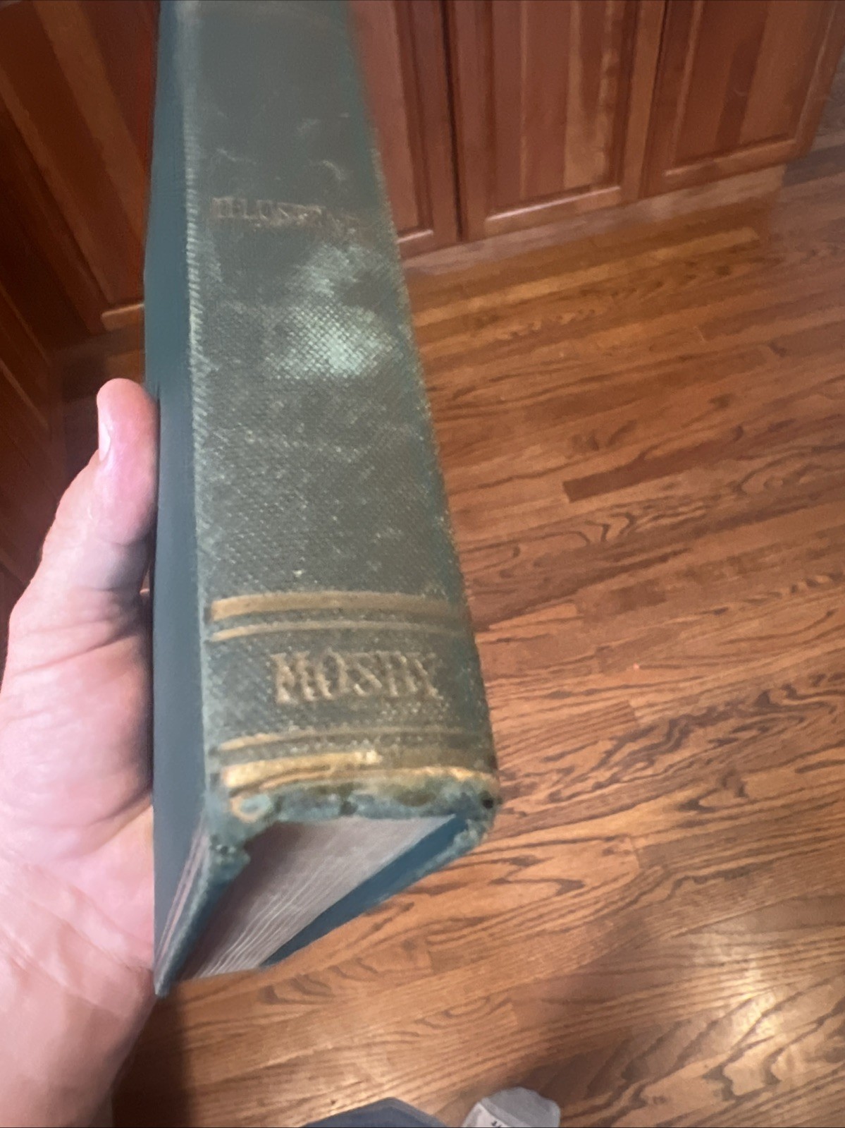Hodgen-Shell DENTAL MATERIALS book hc 1938 JOHN S SHELL dentistry